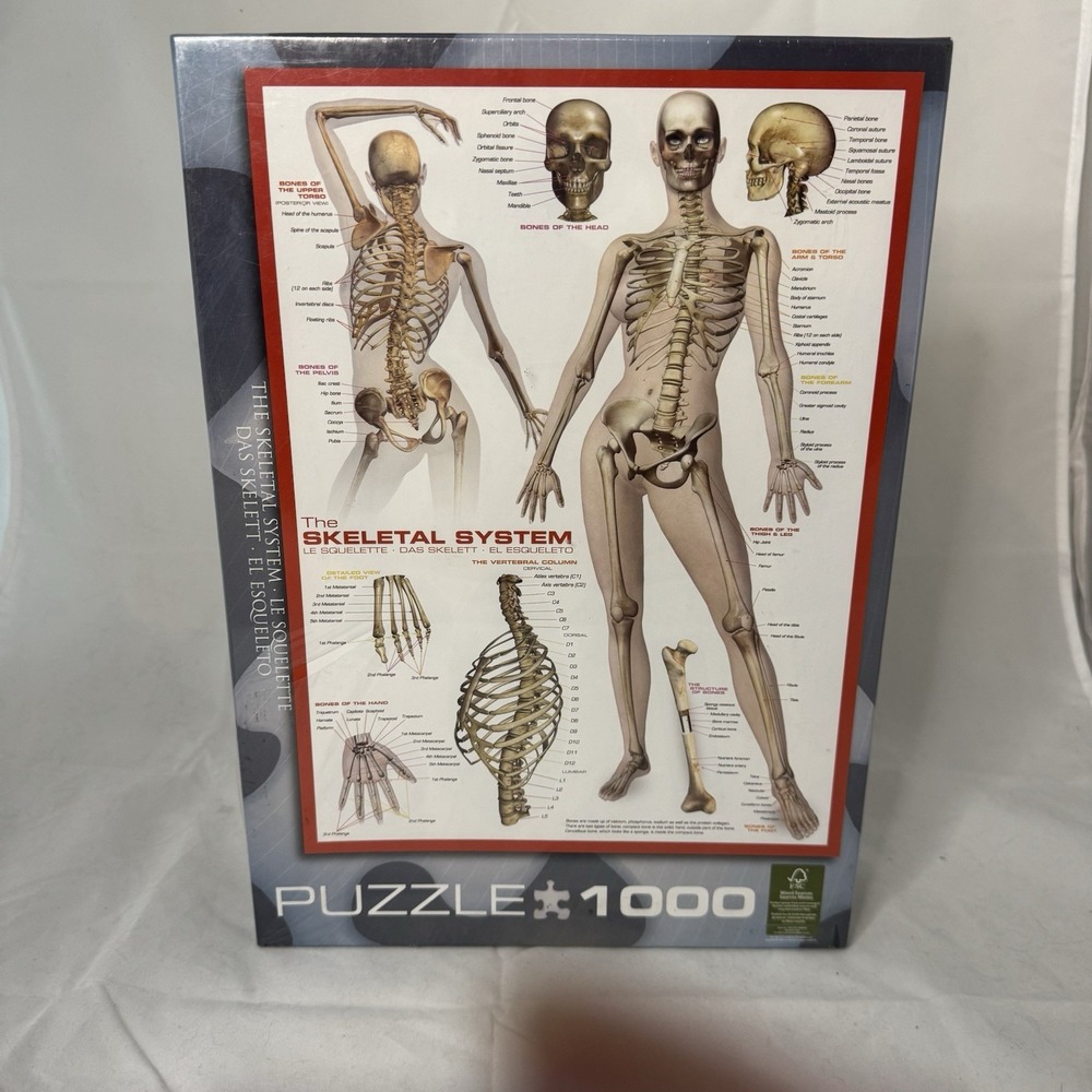 Eurographics The Skeletal System 1000 piece jigsaw puzzle 680mm x 490mm Sealed